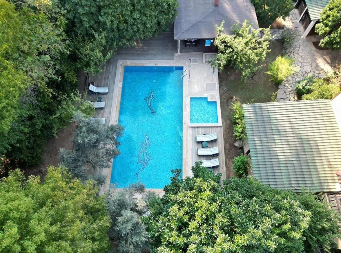 Villa With Private Pool In Marmaris Mugla
