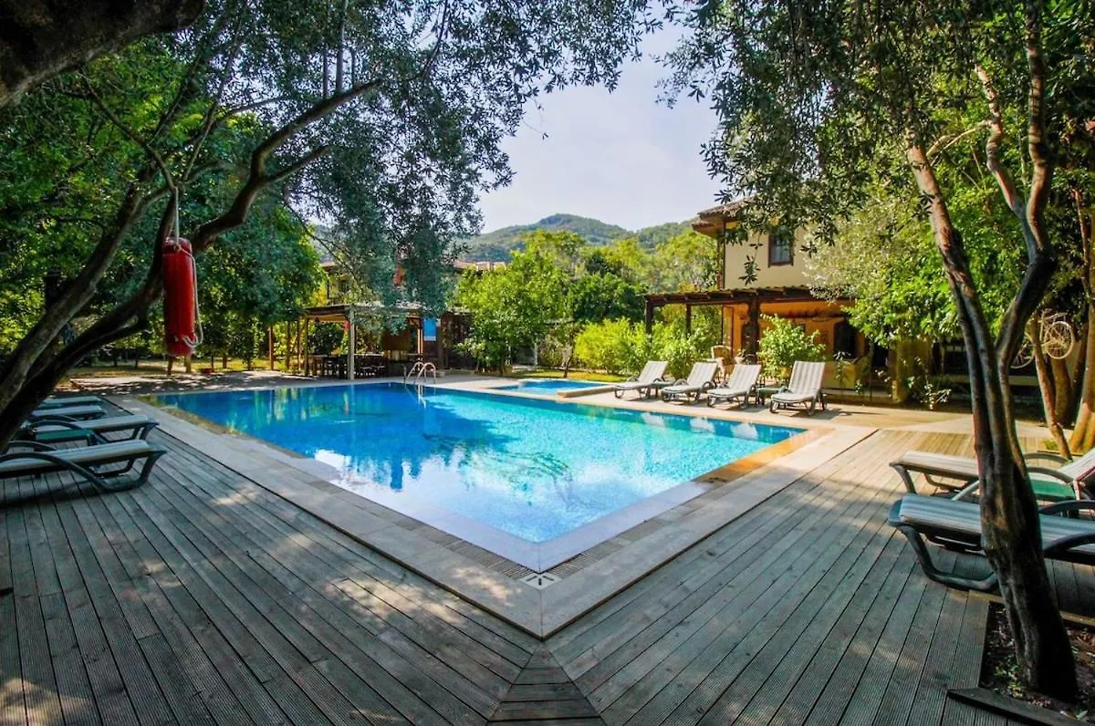 Villa With Private Pool In Marmaris Mugla Turkey