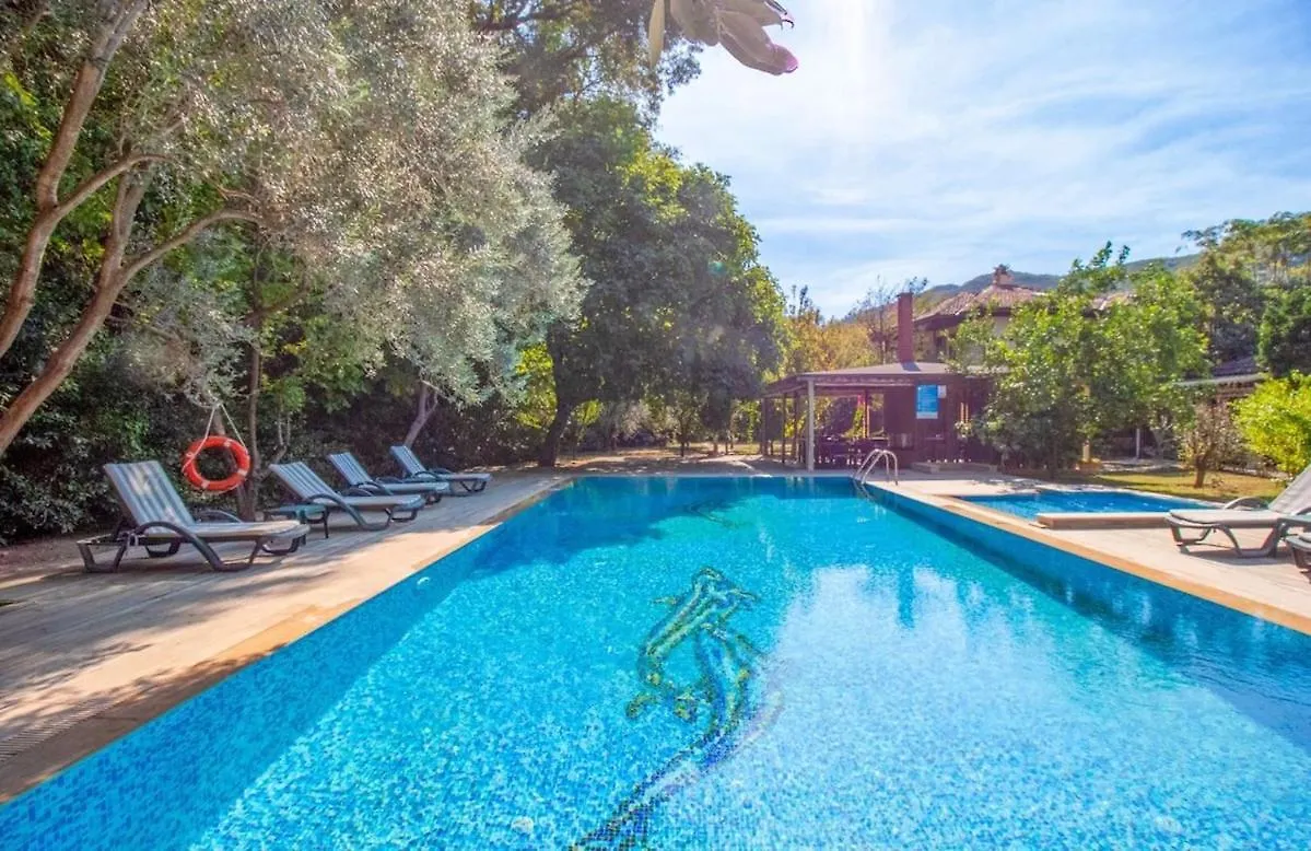 Villa With Private Pool In Marmaris Mugla
